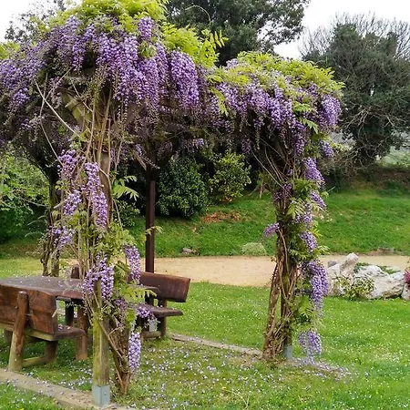 拉斯里拉民宿 乡村民宿